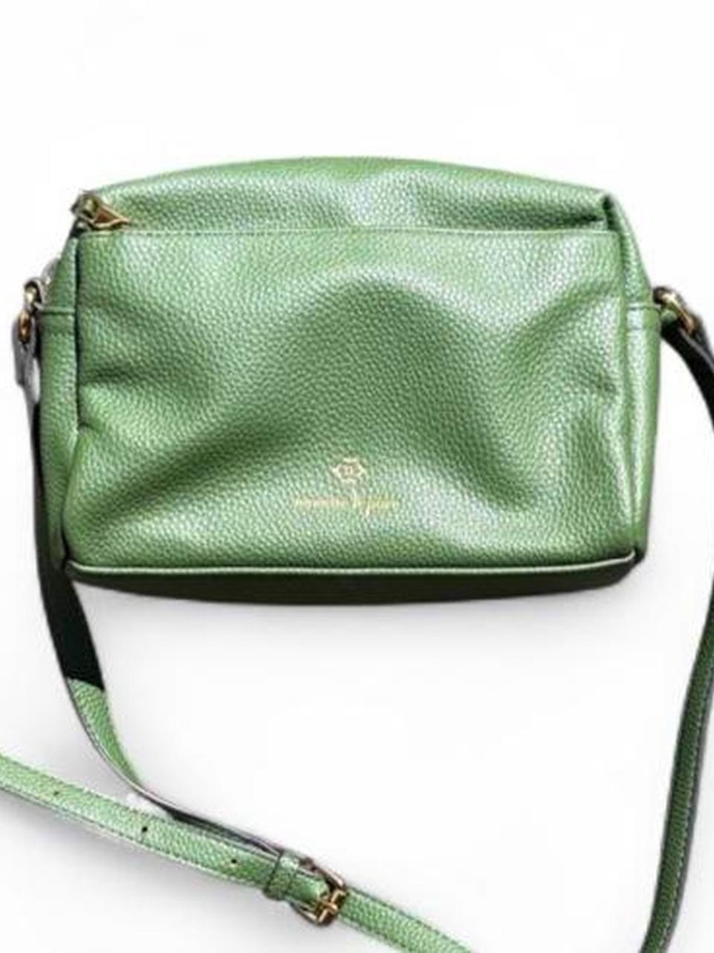 Nanette Lenore vegan leather camera crossbody bag